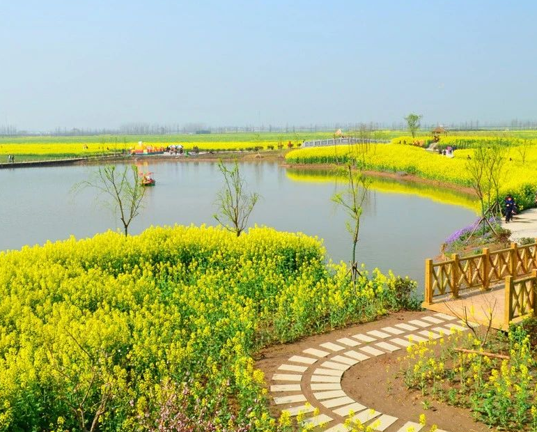 改善鄉(xiāng)村健康環(huán)境，14個(gè)部門聯(lián)合制定意見 健康鄉(xiāng)村建設(shè)“路線圖”公布