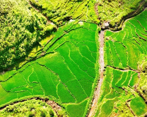 中共中央辦公廳 國(guó)務(wù)院辦公廳關(guān)于加強(qiáng)耕地保護(hù)提升耕地質(zhì)量完善占補(bǔ)平衡的意見(jiàn)(全文)