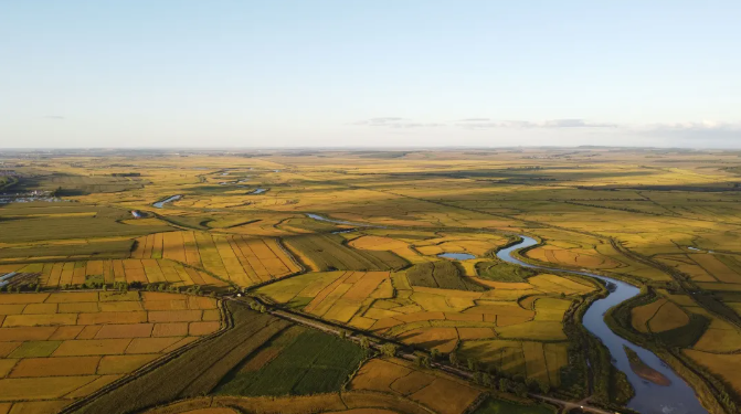 【政策解讀】國務(wù)院辦公廳：加快發(fā)展現(xiàn)代設(shè)施農(nóng)業(yè)，建設(shè)智慧農(nóng)場（牧場、漁場）