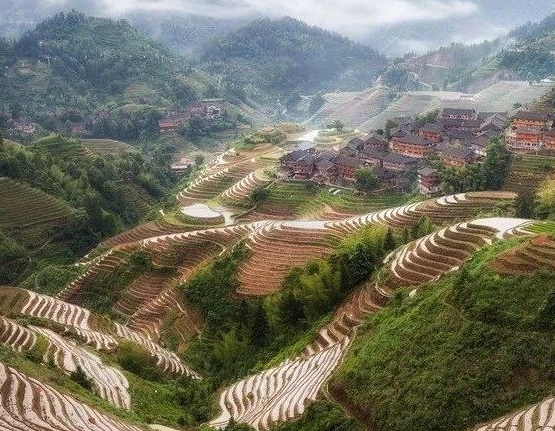 我國擬修法促進(jìn)漁業(yè)提質(zhì)增效、綠色發(fā)展