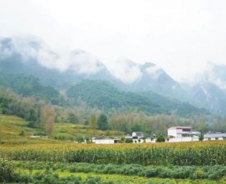 甘肅?。恨r(nóng)村生活污水治理（管控）率達(dá)到29.47%以上