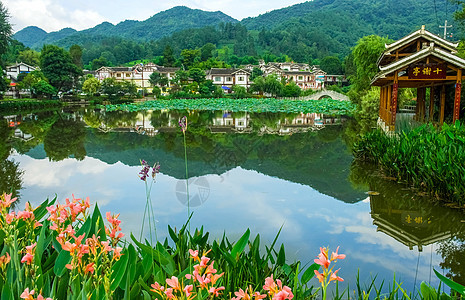 河南出臺行動方案推進(jìn)漁業(yè)高質(zhì)量發(fā)展