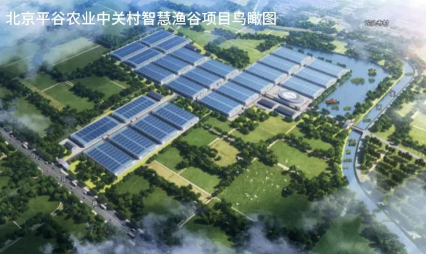 山東公用設(shè)施漁業(yè)公司與北京平谷農(nóng)業(yè)中關(guān)村攜手打造高標(biāo)準(zhǔn)RAS循環(huán)水工廠化養(yǎng)殖“智慧漁谷”