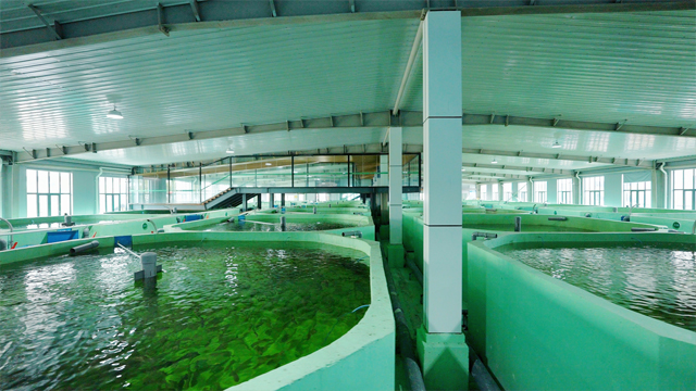 車間內(nèi)部圖