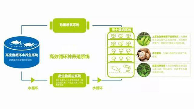 車(chē)間內(nèi)部圖