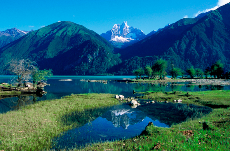 關(guān)于加強(qiáng)生態(tài)環(huán)境領(lǐng)域科技創(chuàng)新 推動(dòng)美麗中國(guó)建設(shè)的實(shí)施意見(jiàn)