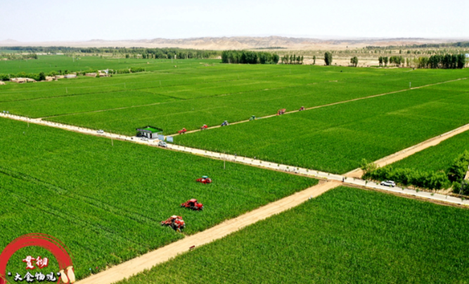 農(nóng)業(yè)農(nóng)村部：踐行大食物觀取得積極進展
