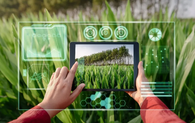 全文丨《全國智慧農業(yè)行動計劃(2024—2028年)》