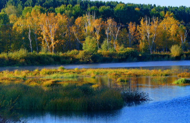 國務院辦公廳轉發(fā)生態(tài)環(huán)境部《關于建設美麗中國先行區(qū)的實施意見》的通知
