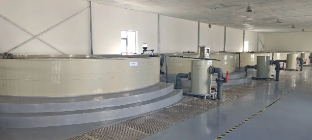 農業(yè)新質生產(chǎn)力！工廠化循環(huán)水養(yǎng)殖模式賦能漁業(yè)高質量發(fā)展