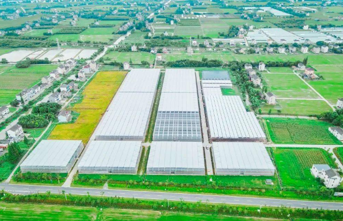 建設一批智慧漁場！農業(yè)農村部支持浙江省先行先試建設智慧農業(yè)引領區(qū)