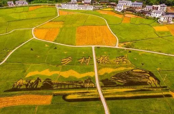 中央財(cái)政1770億助力鄉(xiāng)村振興，如何使用？怎么申請(qǐng)？