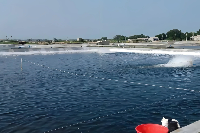 低溫天氣下，水產(chǎn)養(yǎng)殖如何穩(wěn)產(chǎn)保供？這份技術(shù)指引請(qǐng)收好！