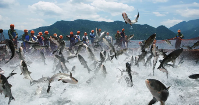 3月1日起，浙江這些區(qū)域全面禁漁！