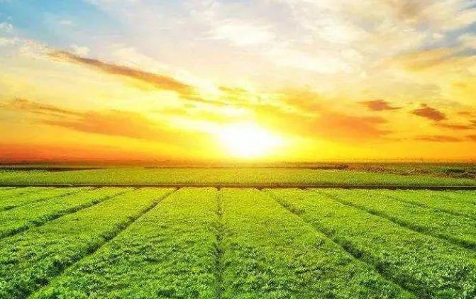 政策解讀！“十五五”農(nóng)業(yè)農(nóng)村領(lǐng)域研究重點(diǎn)及方向