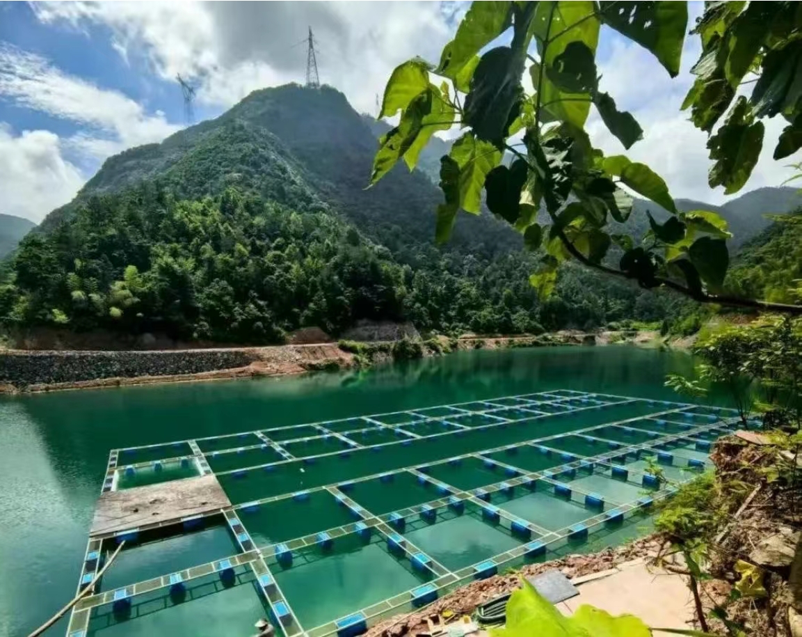 農(nóng)業(yè)農(nóng)村部專家組調(diào)研商達公用縉云山泉魚生態(tài)養(yǎng)殖項目