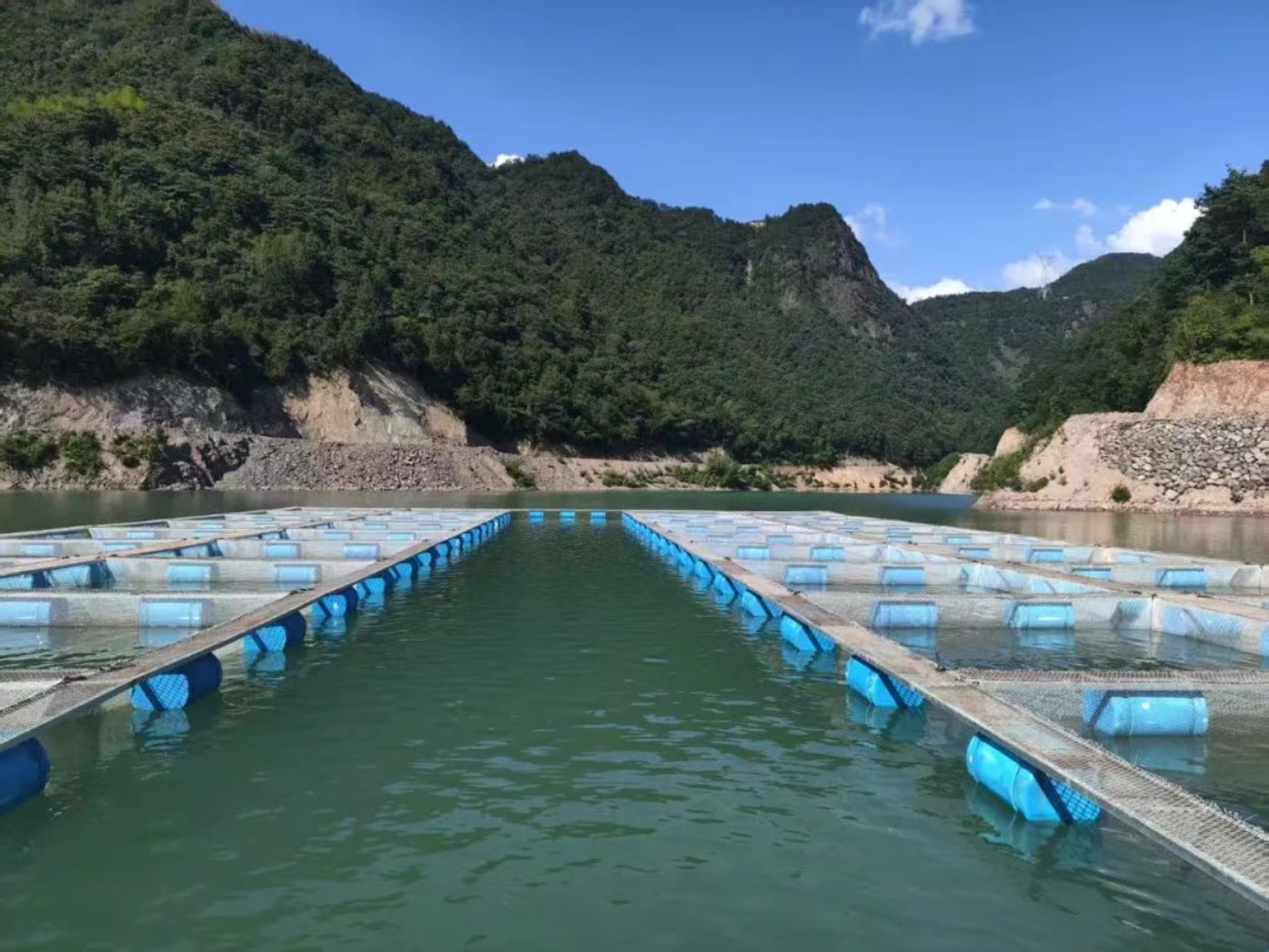 高山水庫商達公用生態(tài)魚養(yǎng)殖基地正式啟用